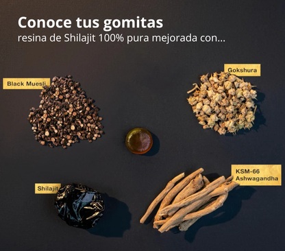 Eleveit Gold Gomitas de Shilajit Puro del Himalaya