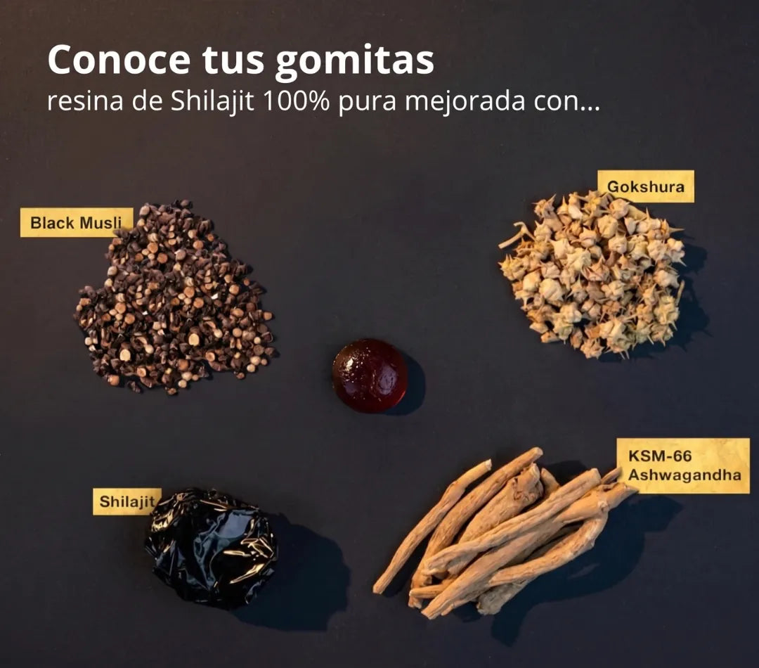 Gomitas de Shilajit Gold del Himalaya