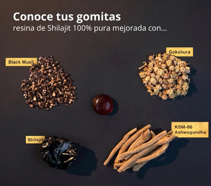 Gomitas de Shilajit Gold del Himalaya